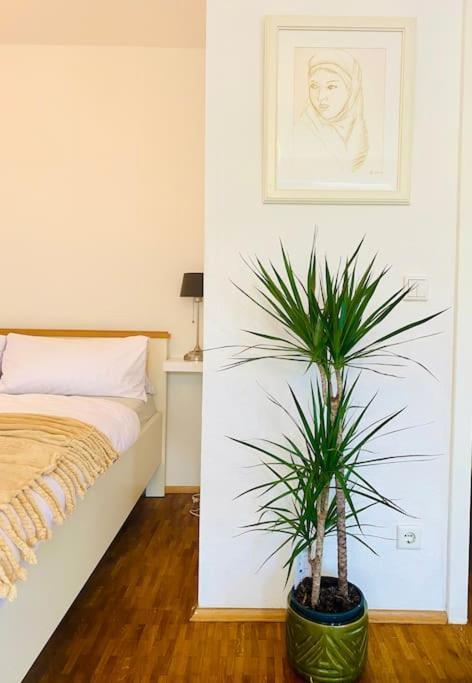 Nice And Calm Apartment In Duesseldorf Экстерьер фото